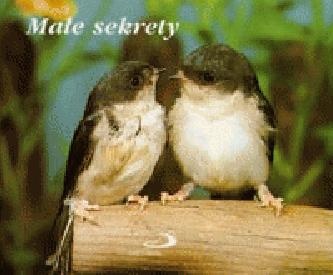 Małe sekrety - praca zbiorowa