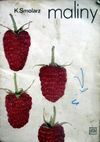 Maliny - Kazimierz Smolarz