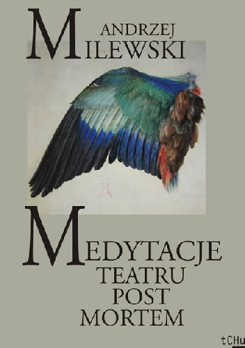 Medytacje Teatru Post Mortem - Andrzej Milewski
