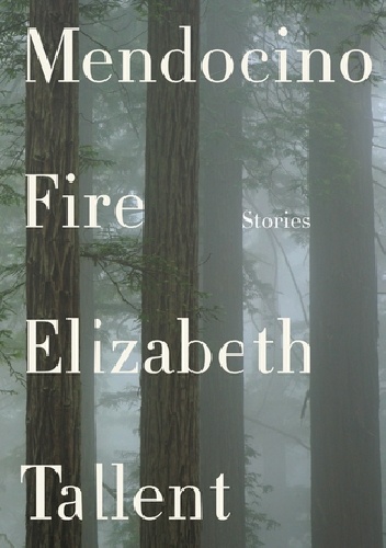 Mendocino Fire: Stories - Elizabeth Tallent
