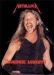 Metallica. Bogowie łoskotu - Adam Ligiecki