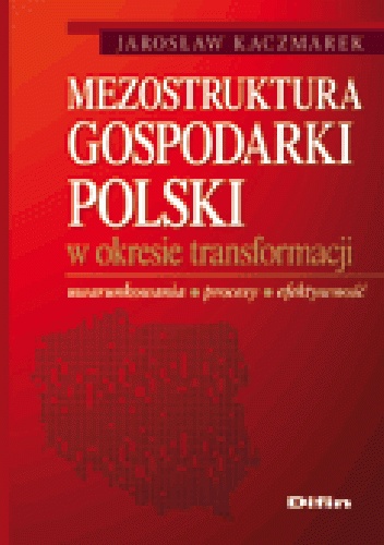Mezostruktura gospodarki Polski w okresie transformacji. Uwarunkowania, procesy, efektywność - Jarosław Kaczmarek
