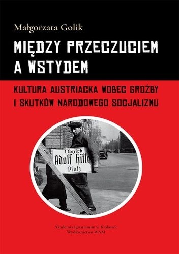 Między przeczuciem a wstydem : kultura austriacka wobec groźby i skutków narodowego socjalizmu - Małgorzata Golik
