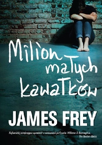 Milion małych kawałków - James Frey