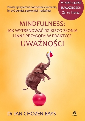 Mindfulness: Jak wytrenować dzikiego słonia i inne przygody w praktyce uważności - Jan Chozen Bays