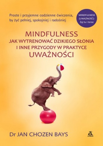 Mindfulness: Jak wytrenować dzikiego słonia - Jan Chozen Bays