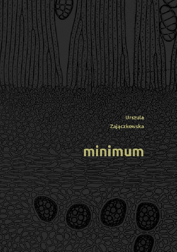 Minimum - Urszula Zajączkowska
