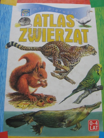 Mój pierwszy atlas zwierząt - Przemysław Rachowiak, Anna Siejkowska