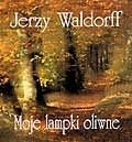 Moje lampki oliwne - Jerzy Waldorff