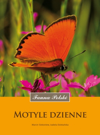 Motyle dzienne - Marcin Piotr Sielezniew, Izabela Dziekańska