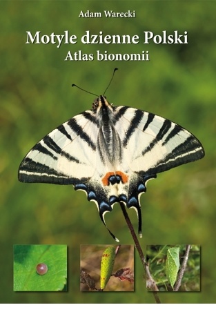Motyle dzienne Polski. Atlas bionomii - Adam Warecki