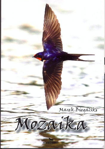 Mozaika - Marek Biegalski