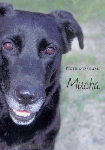 Mucha - Piotr Kozłowski