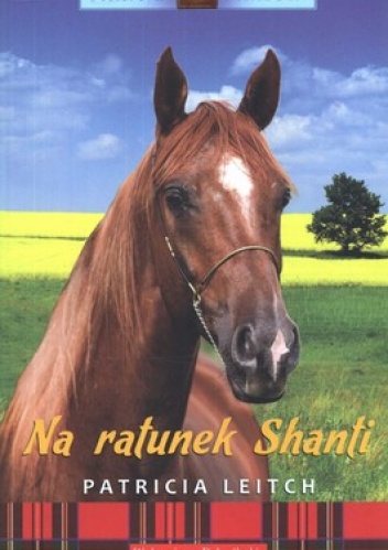 Na ratunek Shanti. Jinny z Finmory 1 - Patricia Leitch