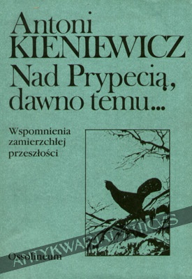 Nad Prypecią, dawno temu...: wspomnienia zamierzchłej przeszłości - Antoni Kieniewicz