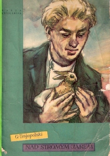 Nad stromym jarem - Gawriił Trojepolski