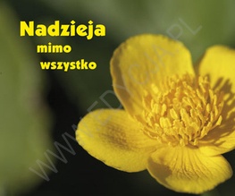 Nadzieja mimo wszystko - praca zbiorowa