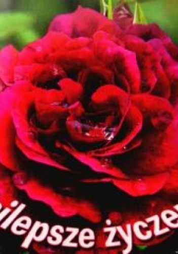 Najlepsze życzenia - praca zbiorowa