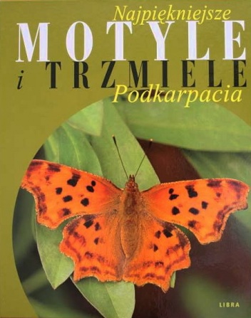 Najpiękniejsze motyle i trzmiele Podkarpacia