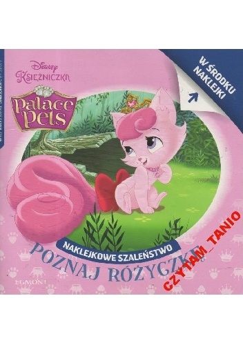 Naklejkowe szaleństwo nr 175. Poznaj Różyczkę - Amy Sky Koster