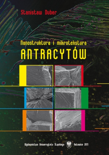 Nanostruktura i mikrotekstura antracytów - Duber Stanisław