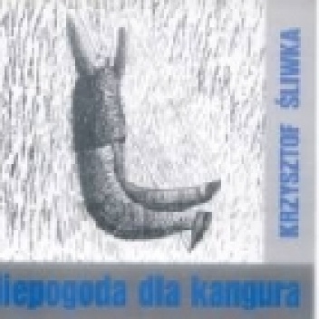 Niepogoda dla kangura - Krzysztof Śliwka