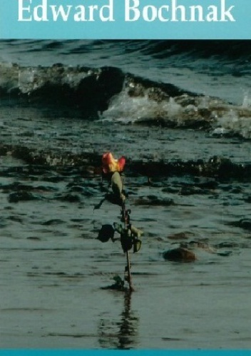 Niespokojne morze - Edward Bochnak