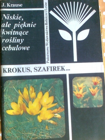Niskie, ale pięknie kwitnące rośliny cebulowe. Krokus, szafirek... - Joanna Krause