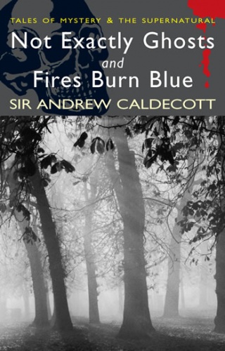 Not Exactly Ghosts and Fires Burn Blue - Andrew Caldecott