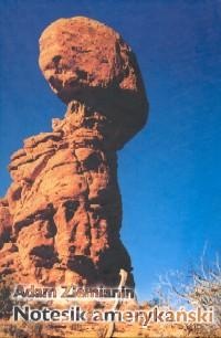 Notesik amerykański - Adam Ziemianin