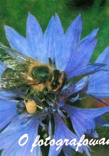 O fotografowaniu - Andrzej A. Mroczek