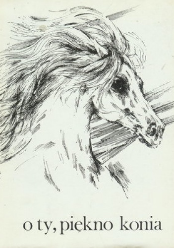 O ty, piękno konia