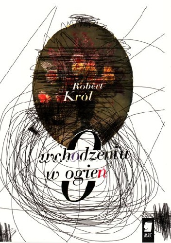 O wchodzeniu w ogień - Robert Król