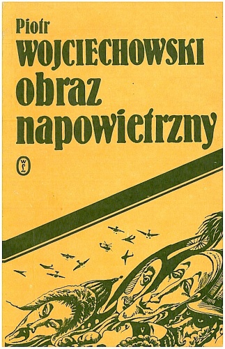 Obraz napowietrzny - Piotr Wojciechowski