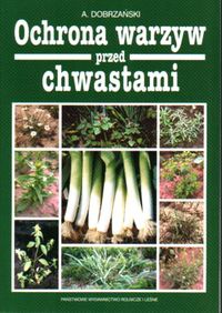 Ochrona warzyw przed chwastami - Adam Dobrzański