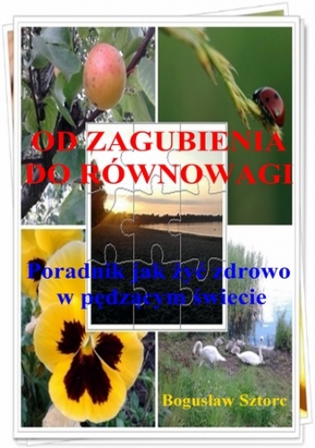 Od zagubienia do równowagi. Jak żyć zdrowo w pędzącym świecie - Sztorc Bogusław