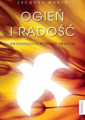 Ogień i radość. Ewangelizacja w Duchu Świętym - Jacques Marin