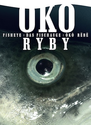 Oko Ryby. Impresje z Półwyspu Helskiego - praca zbiorowa, Łukasz Klesyk
