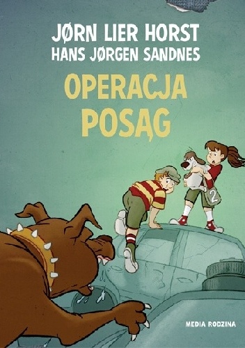Operacja Posąg - Jørn Lier Horst, Hans Jørgen Sandnes