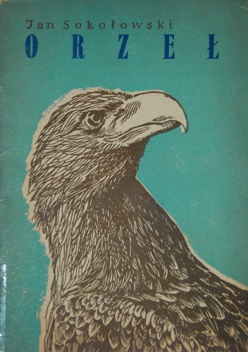 Orzeł - Jan Sokołowski