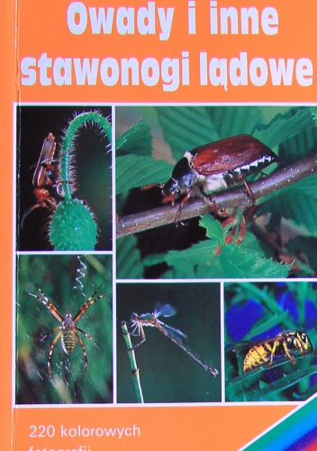 Owady i inne stawonogi lądowe. Encyklopedia kieszonkowa - Roland Gerstmeier