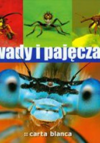 Owady i pajęczaki