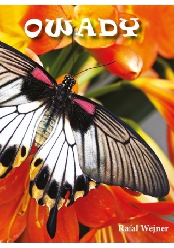 Owady. Poznajemy zwierzęta - Rafał Wejner