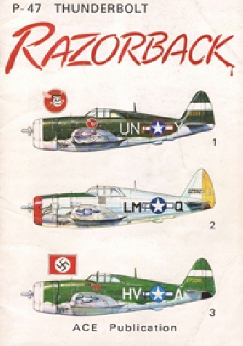 P-47 Thunderbolt Razorback - Przemysław Skulski