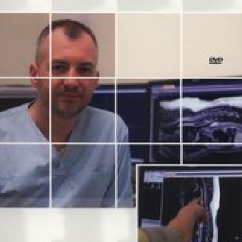 Pacjent neurologiczny w gabinecie weterynaryjnym - Marcin Wrzosek