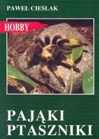 Pająki ptaszniki - Paweł Cieślak