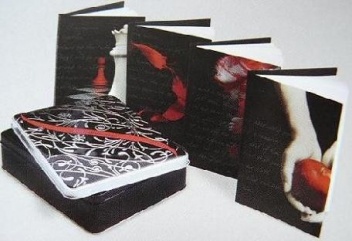 Pamiętniki Stephenie Meyer - Stephenie Meyer