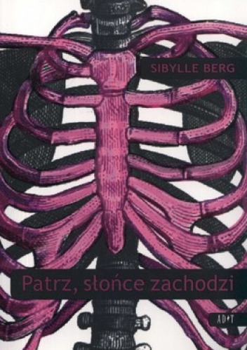 Patrz słońce zachodzi - Sibylle Berg