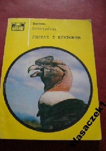 Pejzaż z kondorem - Roman Dobrzyński