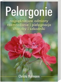 Pelargonie - Christa Hoffman